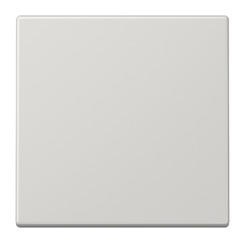 Клавиша JUNG LS 990, светло-серый