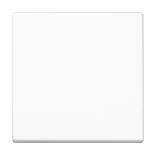 JUNG Белый Клавиша, термопласт