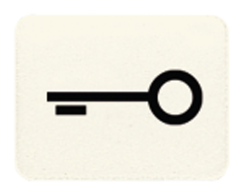 JUNG CD 500/CD plus Бежевая Линза с символом КЛЮЧ для клавиши с окошком