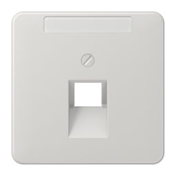 JUNG CD 500/CD plus Светло-серая Накладка 1-ой наклонной ТЛФ/комп розетки с полем для надписи